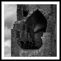 County Clare / Carrigafoyle Castle