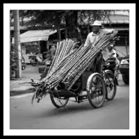 Cambodia / Phnom Penh / Rickshaw transportation