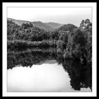 Australia / Tasmania / Gordon River / Reflections of the forest