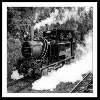 Australia / Tasmania / West Coast Wildness Railway / Mount Lyell Steam Abt Locomotive