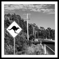 Australia / Tasmania / Kangaroo Road Sign