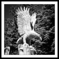 Canada / British Columbia / Grouse Mountain / Wooden eagle sculpture