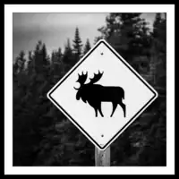 Canada / Nova Scotia / Cape-Breton / Moose Sign